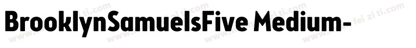 BrooklynSamuelsFive Medium字体转换